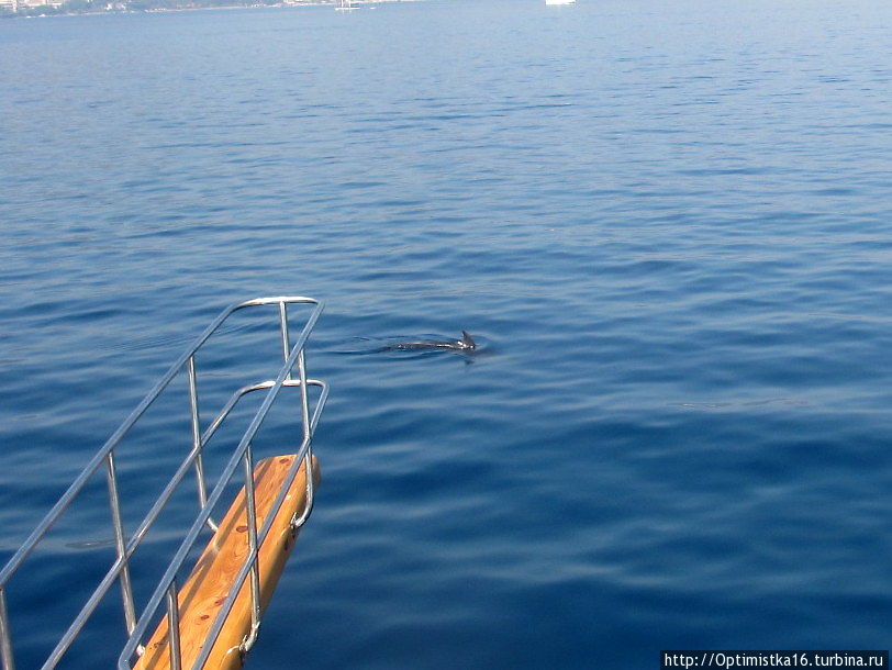Дельфин Мармарис, Турция