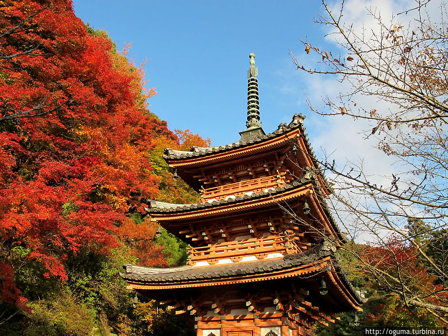 В саду храма Мимуротодзи, Киото В саду храма Мимуротодзи, Киото