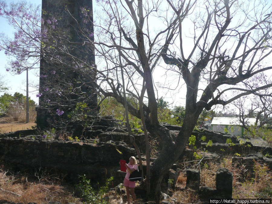 Музей-усадьба Мадам Desbassyns Реюньон Музей-усадьба Мадам Desbassyns Реюньон