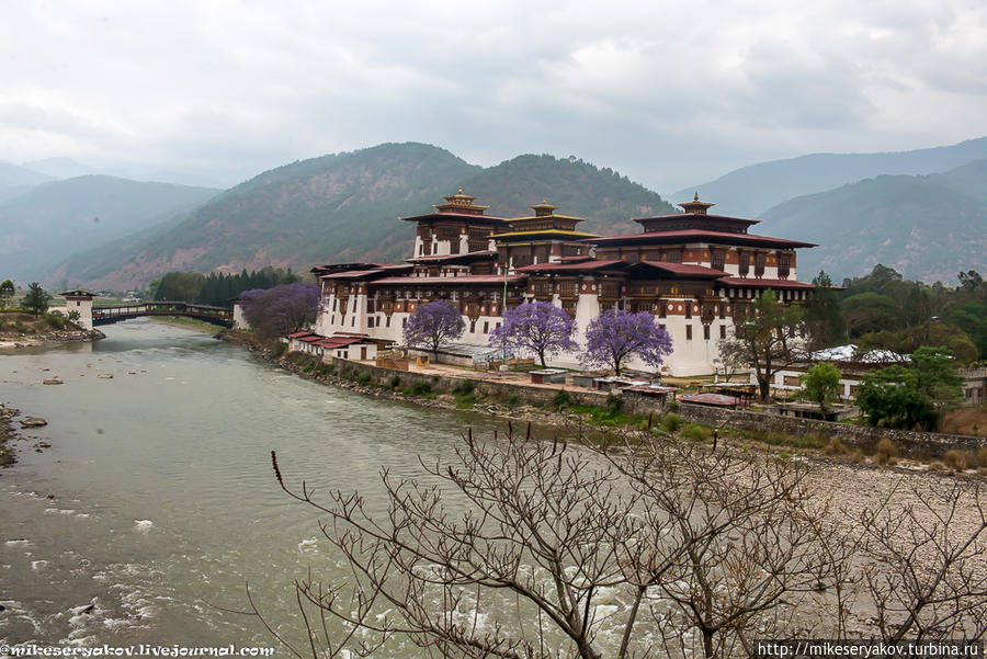 Самый красивый дзонг Бутана и фаллосы Пунакха, Бутан