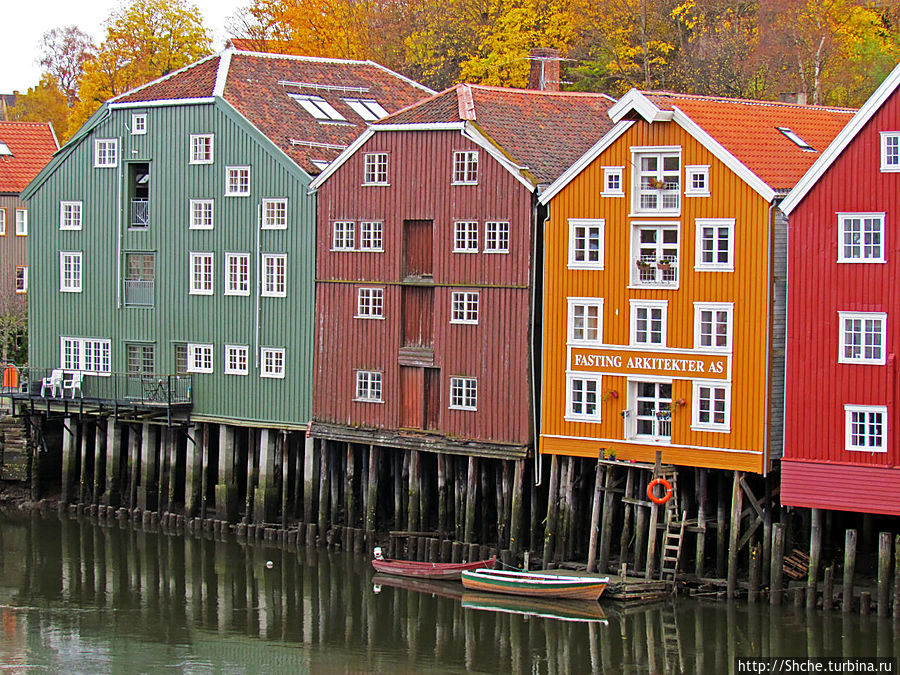 На берегах реки Нидельва (Nidelva) Тронхейм, Норвегия