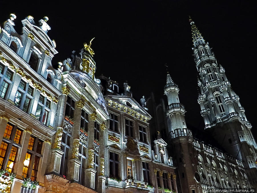 Ночные города... Центральная площадь Брюсселя + бонус Брюссель, Бельгия