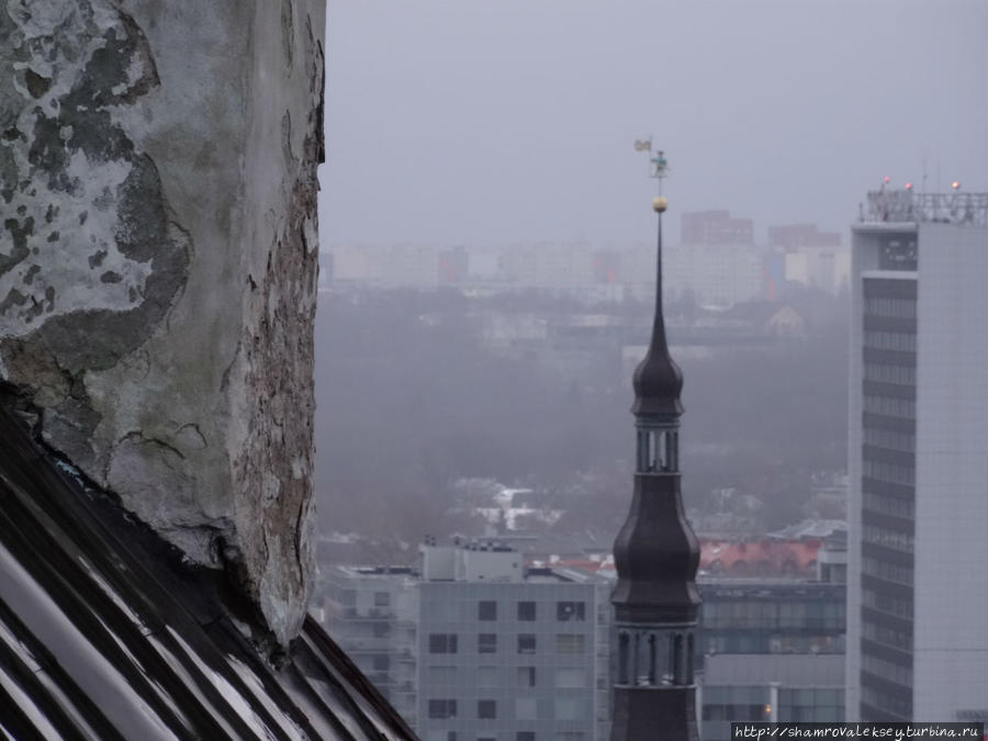 Таллин. Панорамы города с высоты колокольни Домского собора Таллин, Эстония