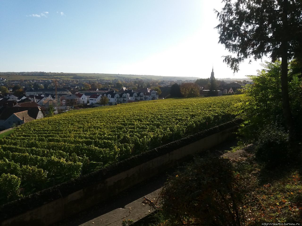 Винодельня на Мозеле как альтернатива гостинице Земля Рейнланд-Пфальц, Германия