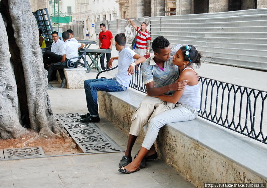 Парочки Куба