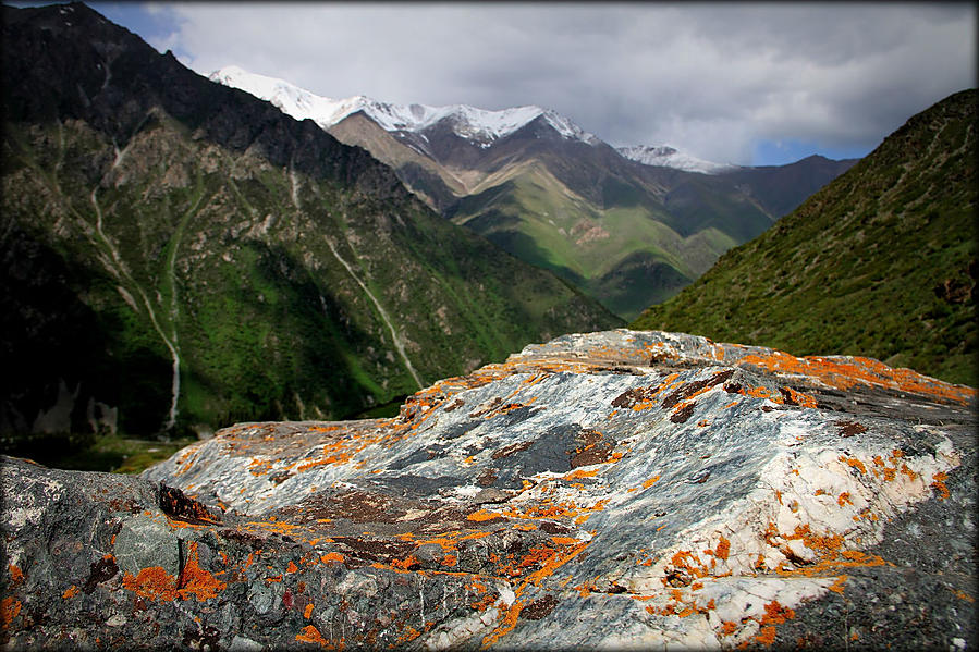 Экзотика ближних стран или первое знакомство с Киргизией Ала-Арча Национальный Парк, Киргизия