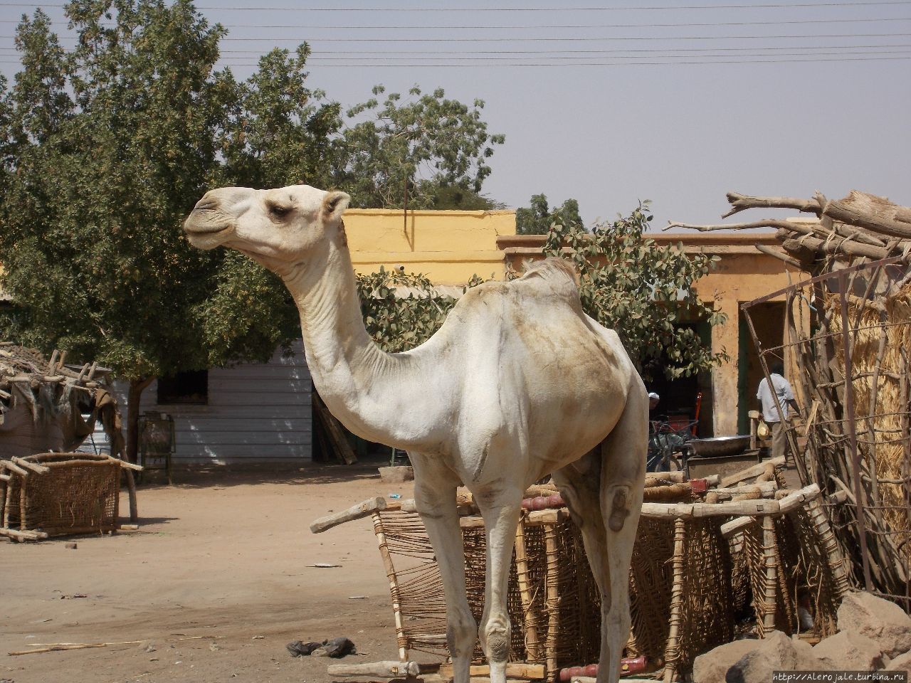 Кассала как одно из направлений Кассала, Судан