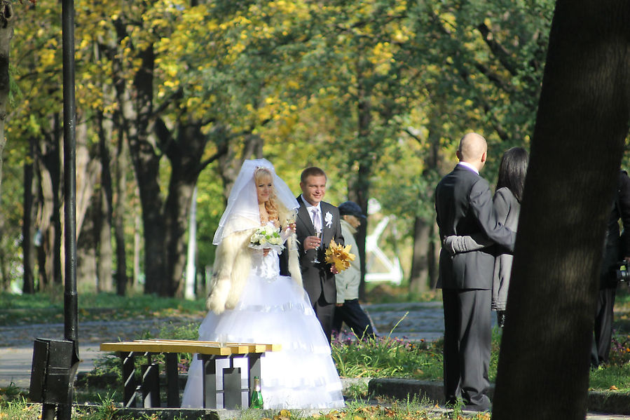 День свадеб в парке над рекой