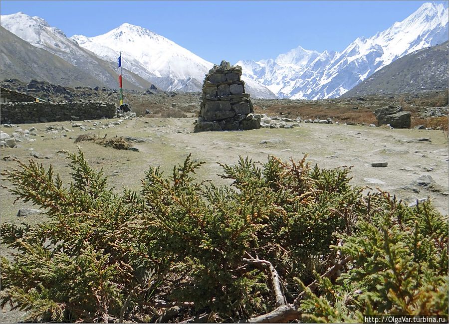 Появится можжевельник... А впереди засверкают снежные вершины гималайских гор Лангтанг, Непал