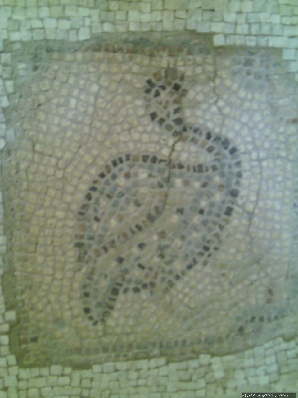 А эта мозаика переложена из антиохийского храма. Их две в крестильне. Они не такие яркие и сразу видно, что привезены. Москва, Россия