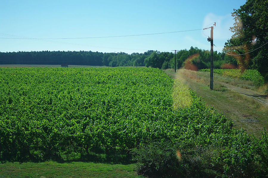 Les Pierres D'aurèle