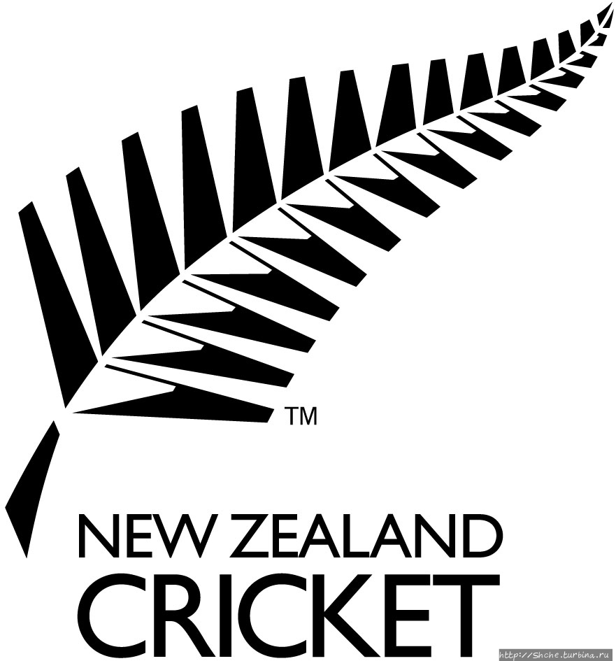 Серебристый папоротник — один из символов Новой Зеландии Уаиотапу, Новая Зеландия