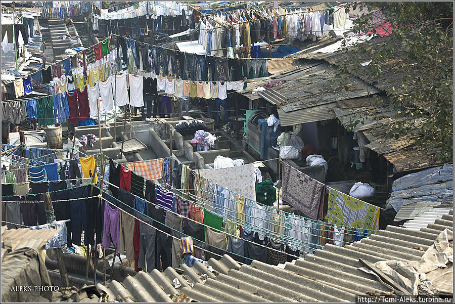 Так стирают белье в Бомбее (Индийские Приключения ч7) Мумбаи, Индия