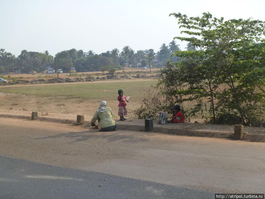 Гоа. Купи слона и фото из корзины Панаджи, Индия