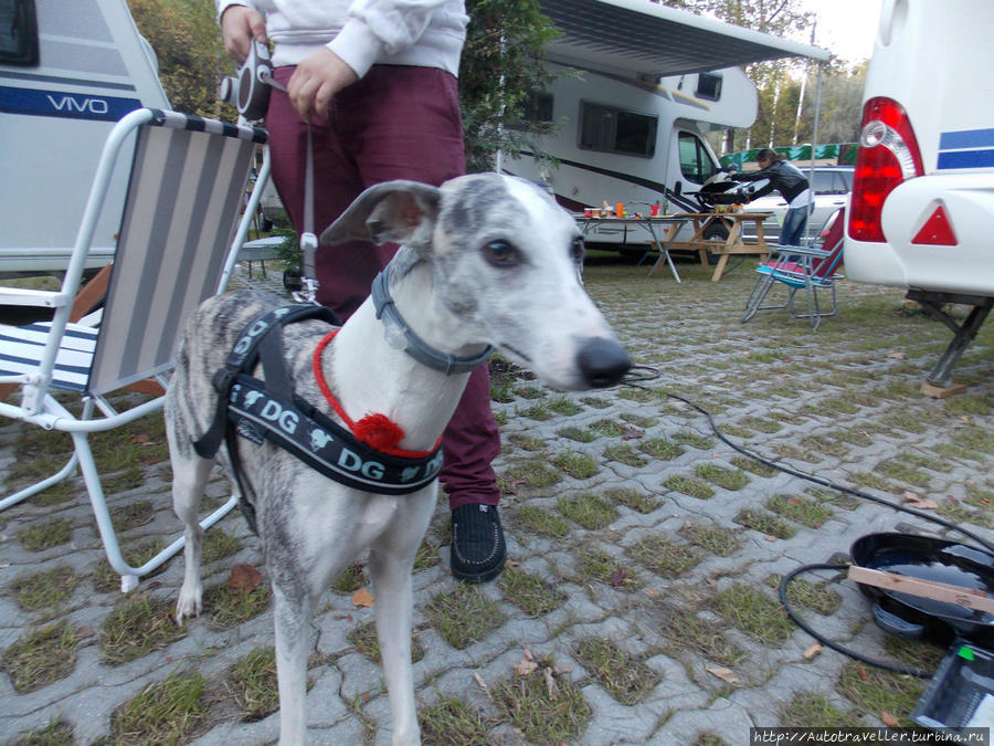 Он появился!!! Он появился!!!