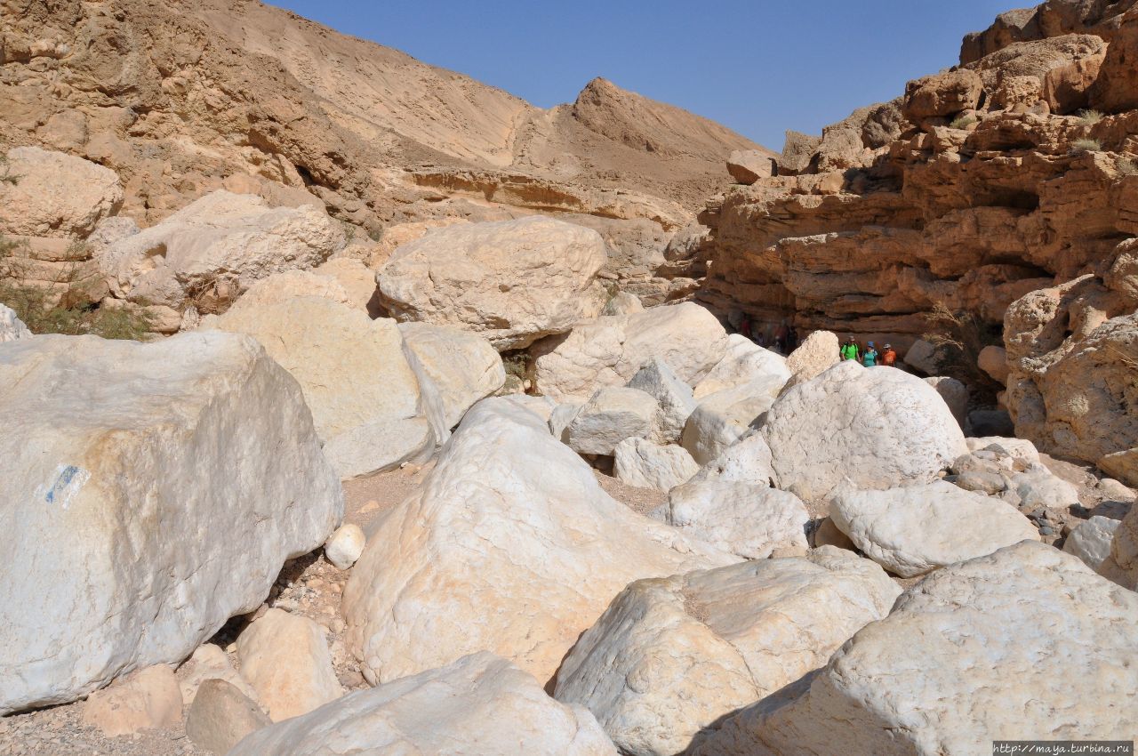 Парсат Некорот май 2018 Мицпе-Рамон, Израиль Парсат Некорот май 2018 Мицпе-Рамон, Израиль