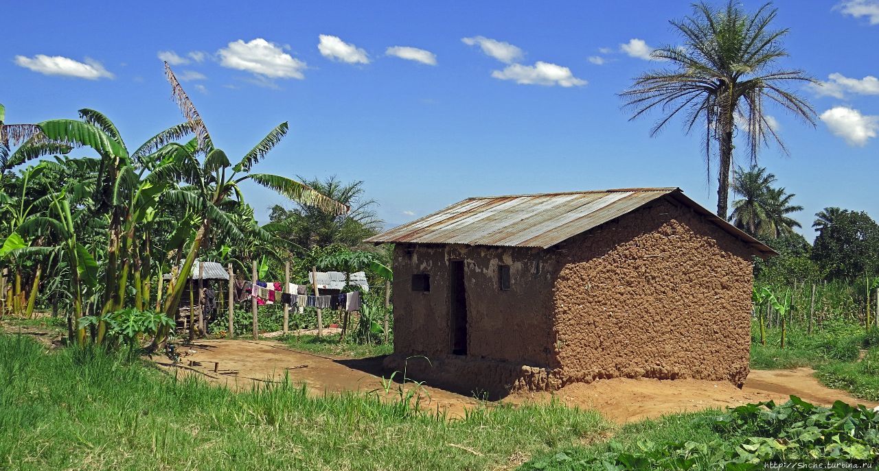Деревня пигмеев Букванга, Уганда
