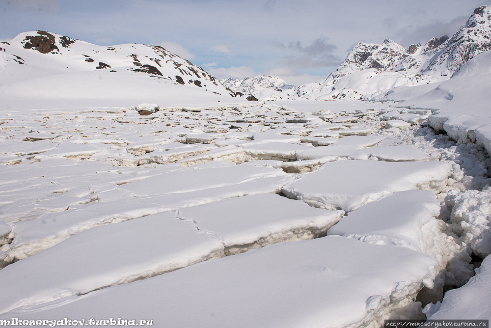 Сноудайвинг в Хамбургерзунде Гренландия