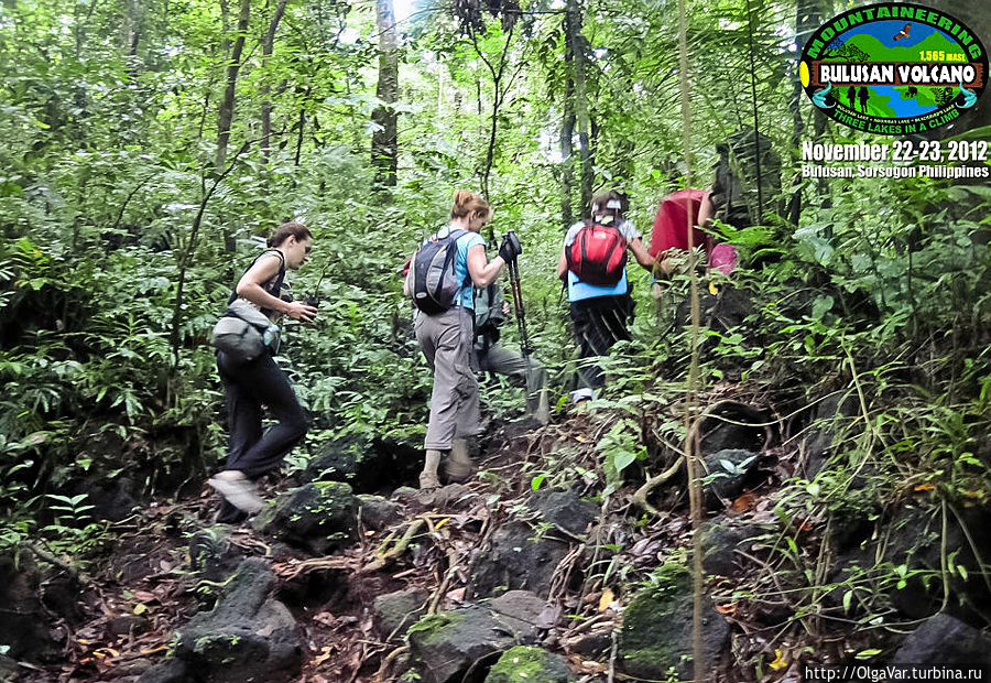 Переправившись на другой берег, мы ныряем… в лес с умеренным подъемом, не забыв прихватить с собой зеленые ростки. Нам поручена важная и ответственная миссия — преумножить лесные богатства парка Переправившись на другой берег, мы ныряем… в лес с умеренным подъемом, не забыв прихватить с собой зеленые ростки. Нам поручена важная и ответственная миссия — преумножить лесные богатства парка