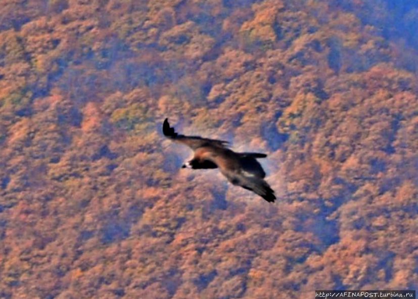 Сулакский каньон — природное чудо Дагестана! Сулакский каньон, Россия Сулакский каньон — природное чудо Дагестана! Сулакский каньон, Россия