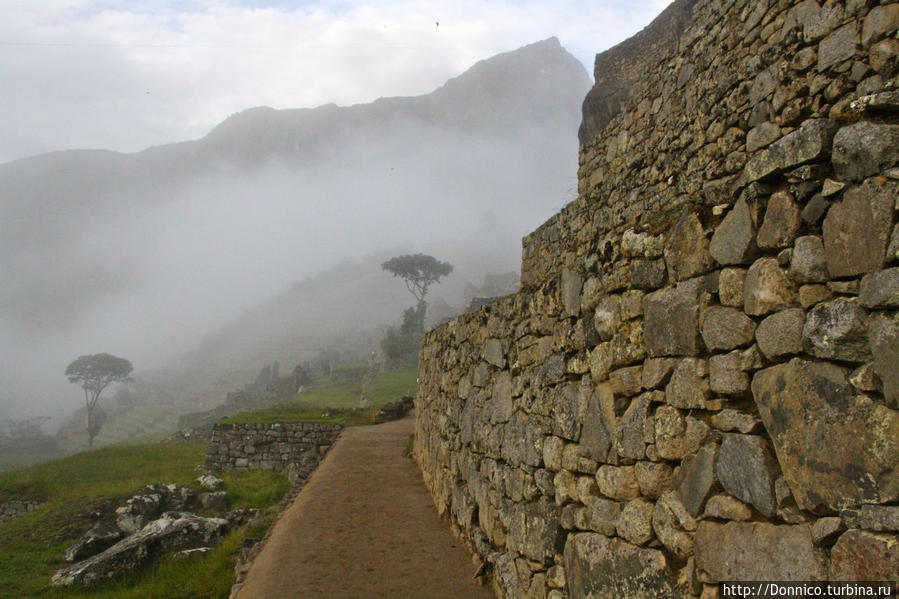 Лечу я ветром сквозь печали над Мачу Пикчу на заре... Мачу-Пикчу, Перу