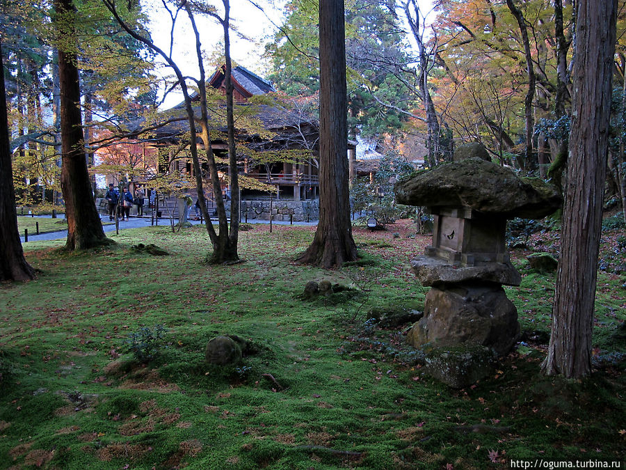 Конец осени в саду храма Санзенин, Киото Япония