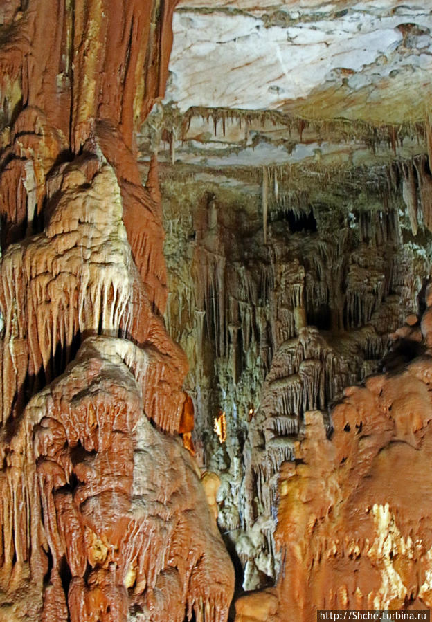Пещера Петралона Петралона, Греция