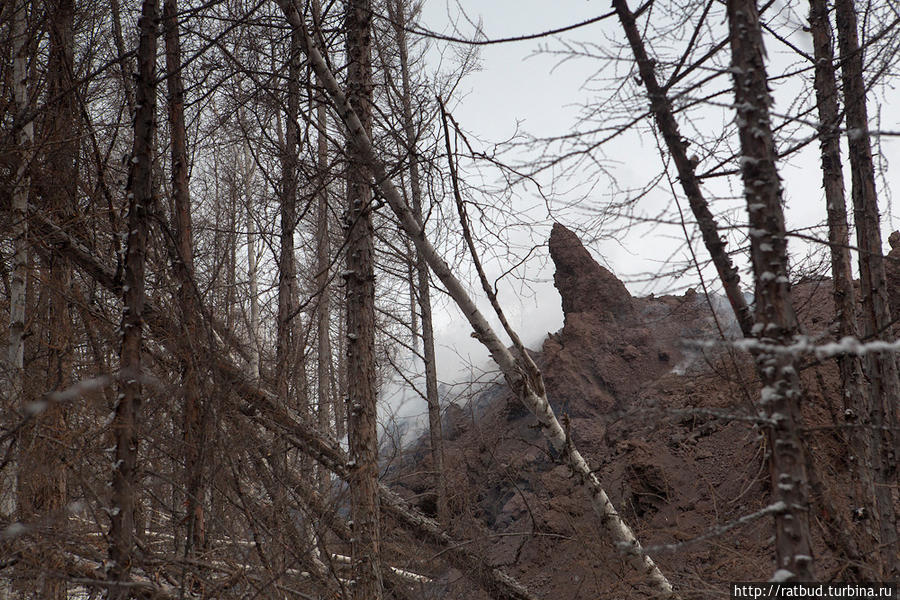 Извержение вулкана Толбачик. Часть 1. Первые впечатления Толбачинский дол (вулкан Острый Толбачик 3682м), Россия
