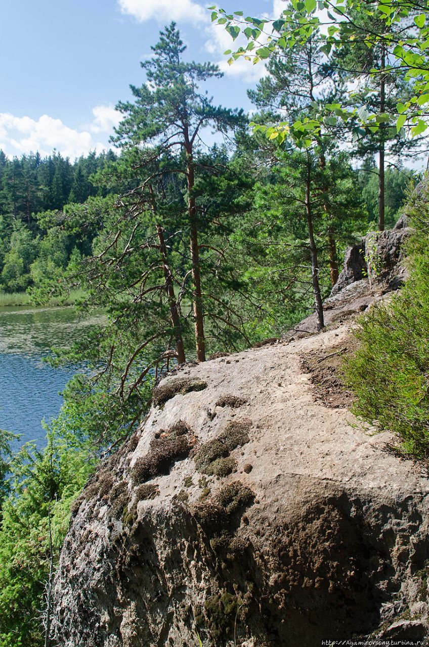 Озеро Ястребиное и его окрестности. Карелия, лето 2016. Приозерск, Россия