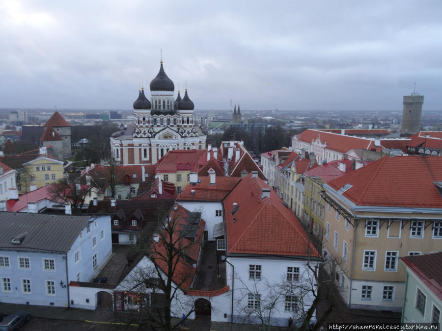 Таллин. Панорамы города с высоты колокольни Домского собора Таллин, Эстония