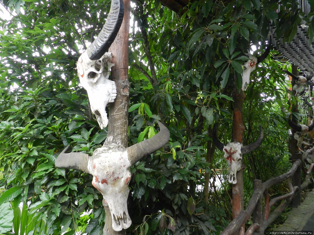 Китай и Россия. Размышления дилетанта Китай Китай и Россия. Размышления дилетанта Китай