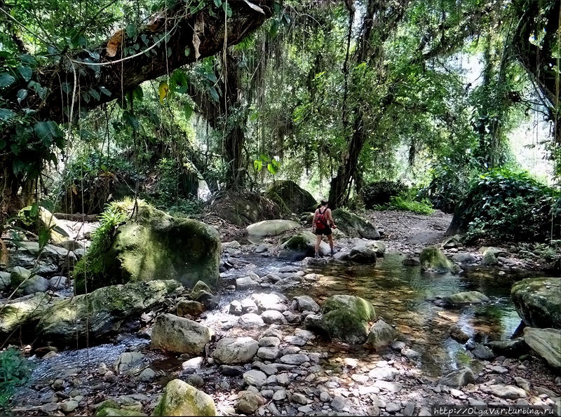 Речку перереходили, не замочив ног Сьерра-Невада-де-Санта-Марта Национальный Парк, Колумбия