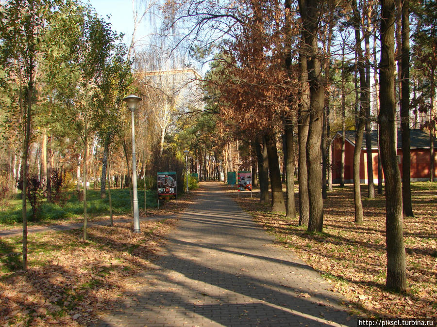 Осенняя медитация Киев, Украина