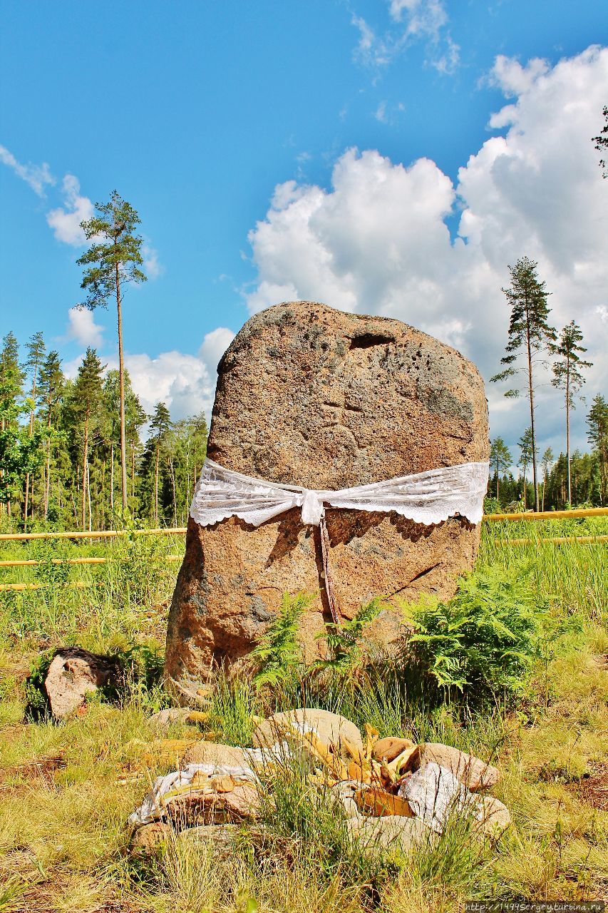 Стёп-камень Красники, Беларусь