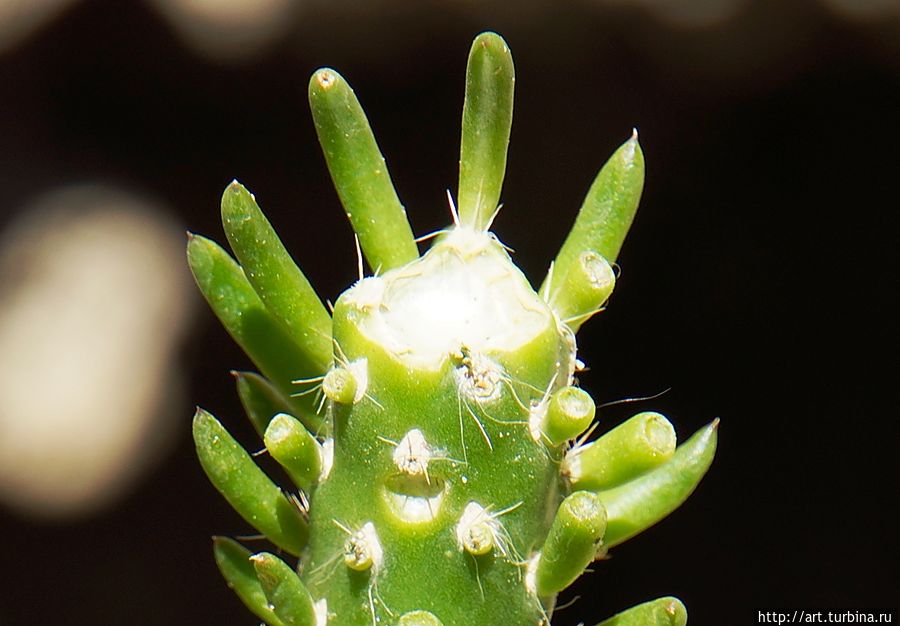 А это улыбающаяся молодежь. А это улыбающаяся молодежь.