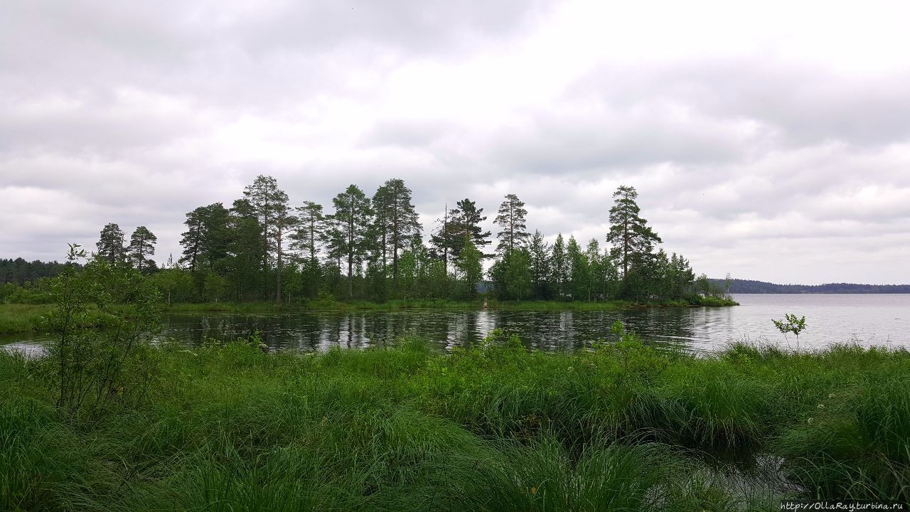 Август по-карельски (альбом). Республика Карелия, Россия Август по-карельски (альбом). Республика Карелия, Россия