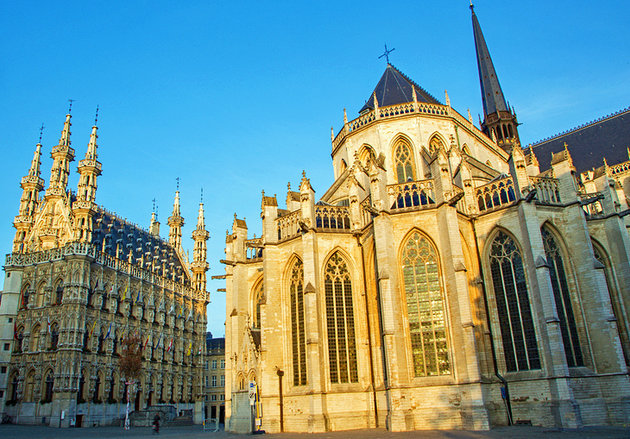 Церковь Святого Петра c колокольней / Saint Peter's Church of Leuven