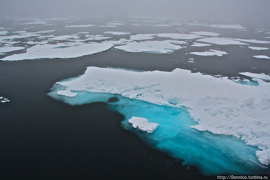 В таких вот льдинах всегда привлекает их подводная часть, напоминающая нам о тропических морях Земля Франца-Иосифа архипелаг, Россия