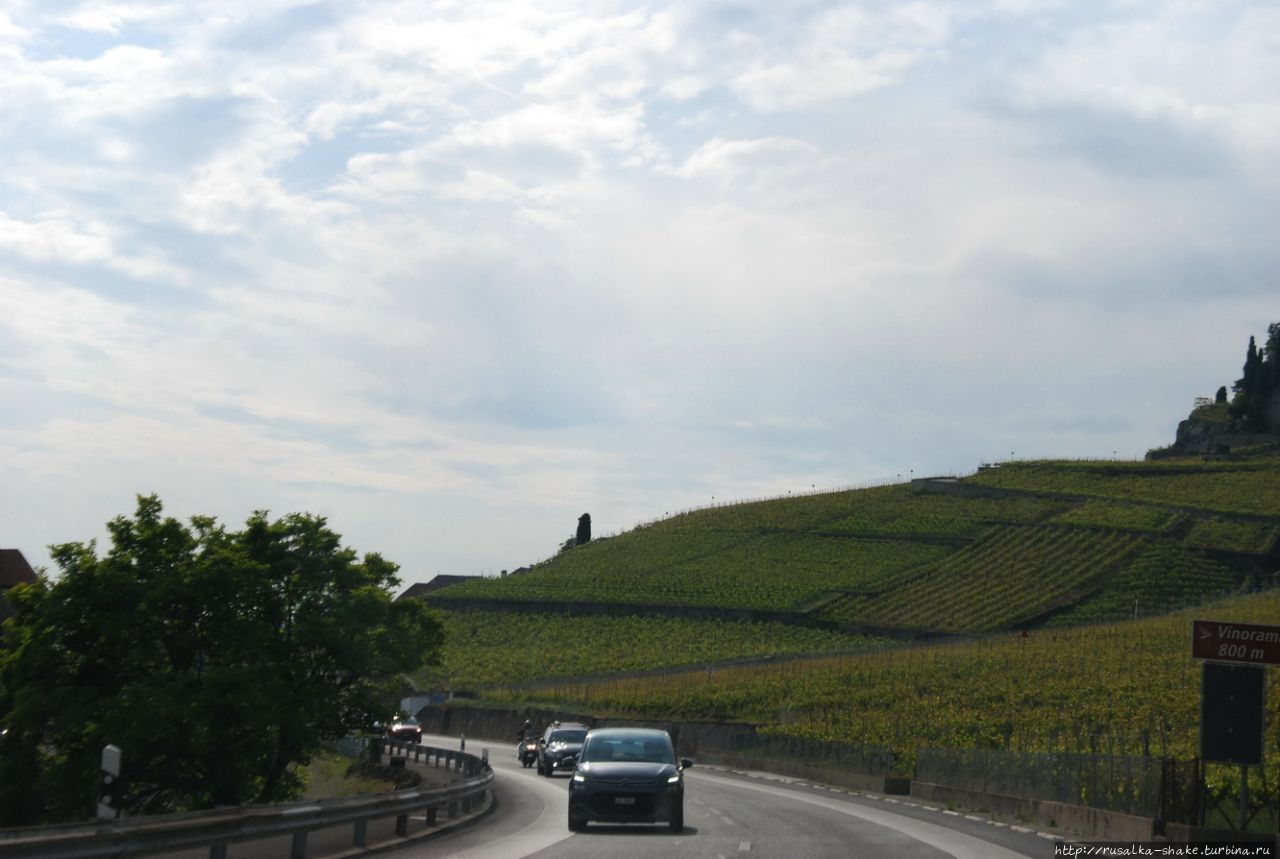 Виноградники Лаво Жонни, Швейцария