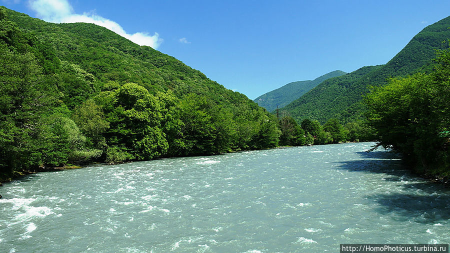 Бзыбь Бзыбь