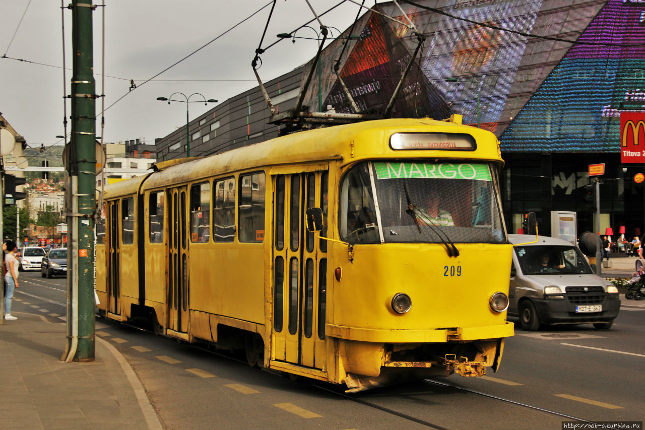 Трамвайчики придают городу особый колорит, вдобавок, все разнообразные и цветастые