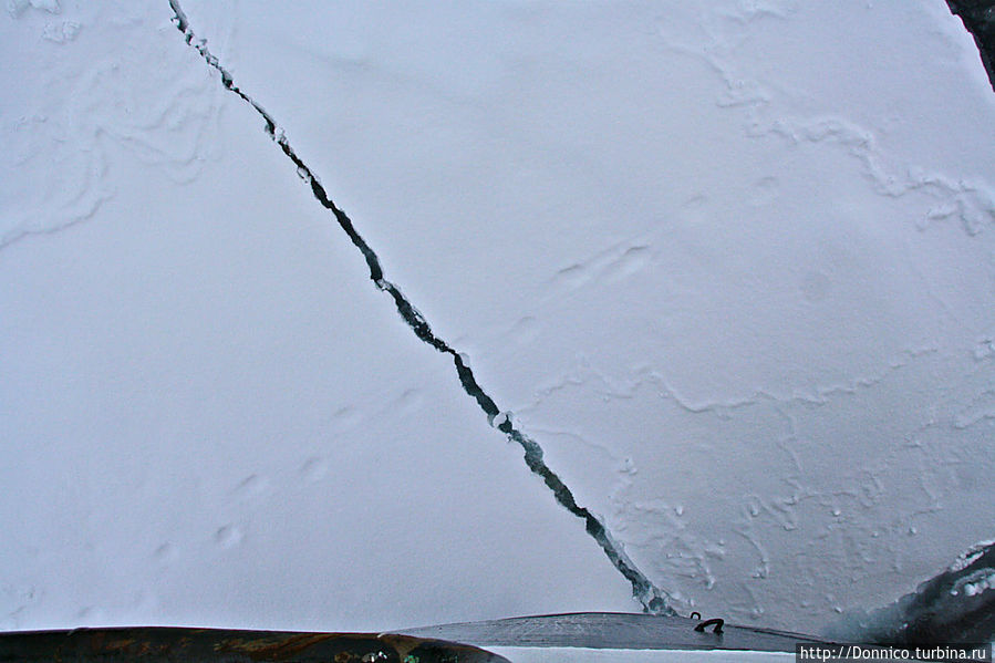 Паковый Лёд — это Улёт! (редкое видео с 83 градуса с.ш.) Земля Франца-Иосифа архипелаг, Россия