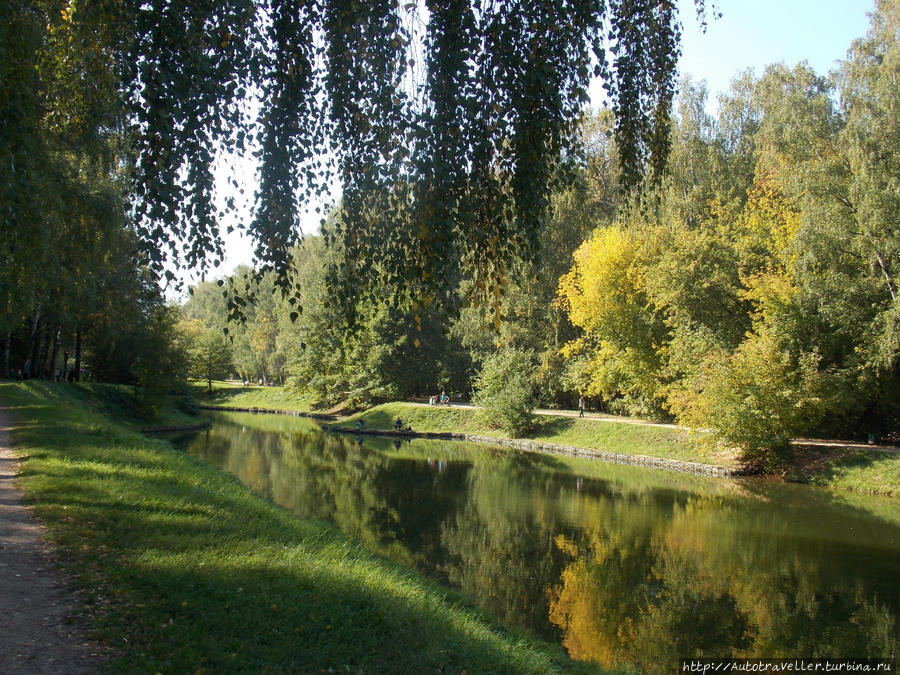 Он появился!!! Он появился!!!