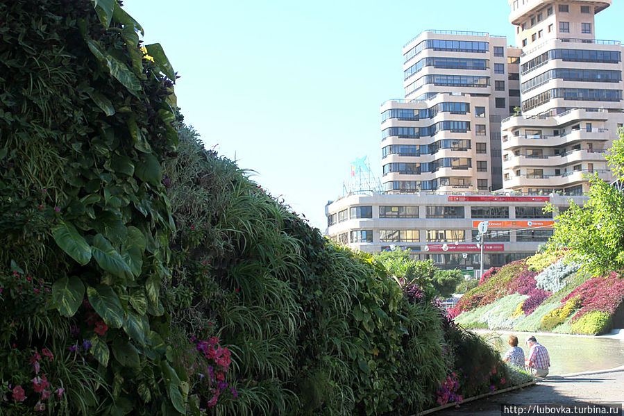 Площадь Испании — одно из любимых мест горожан. Площадь Испании — одно из любимых мест горожан.