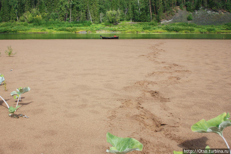 Река Ижма. Лето 2013. Зас Река Ижма. Лето 2013. Зас