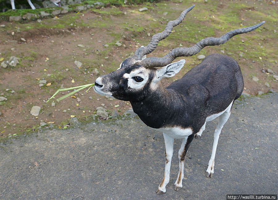 Накрутил... Накрутил...