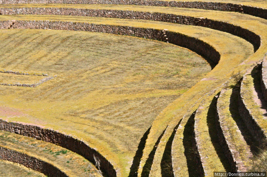 Золотые Кольца Морэя Марас, Перу Золотые Кольца Морэя Марас, Перу
