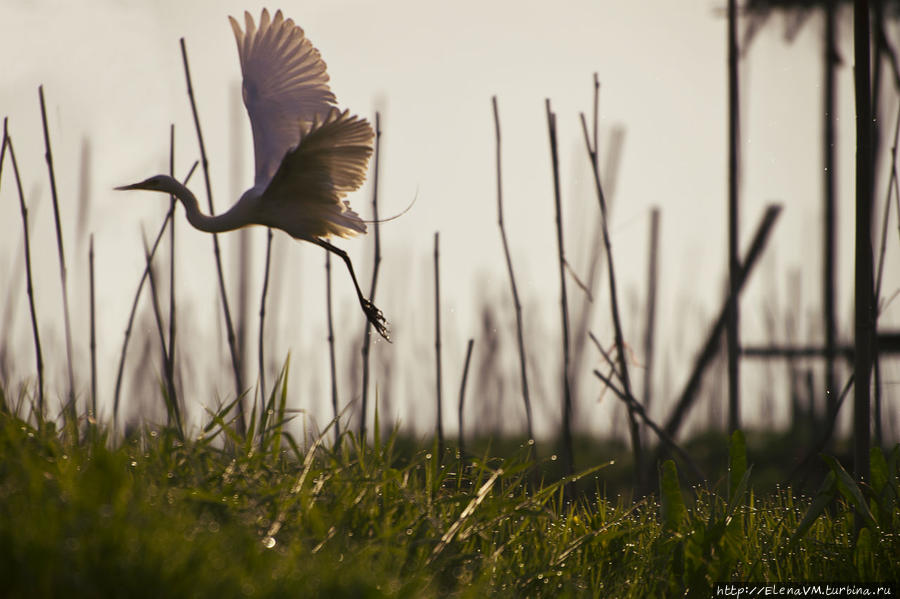 Нам выбирать... Нам выбирать...