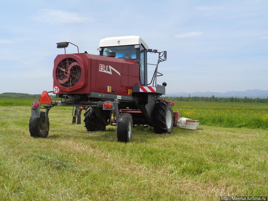 Самолет, да и только! Южно-Сахалинск, Россия Самолет, да и только! Южно-Сахалинск, Россия