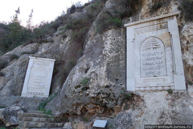 Стеллы у Собачьей реки Стеллы у Собачьей реки